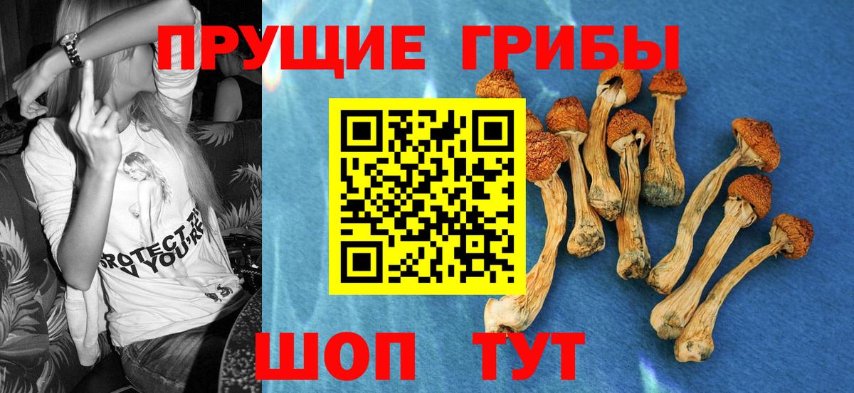 Галлюциногенные грибы прущие грибы Клин