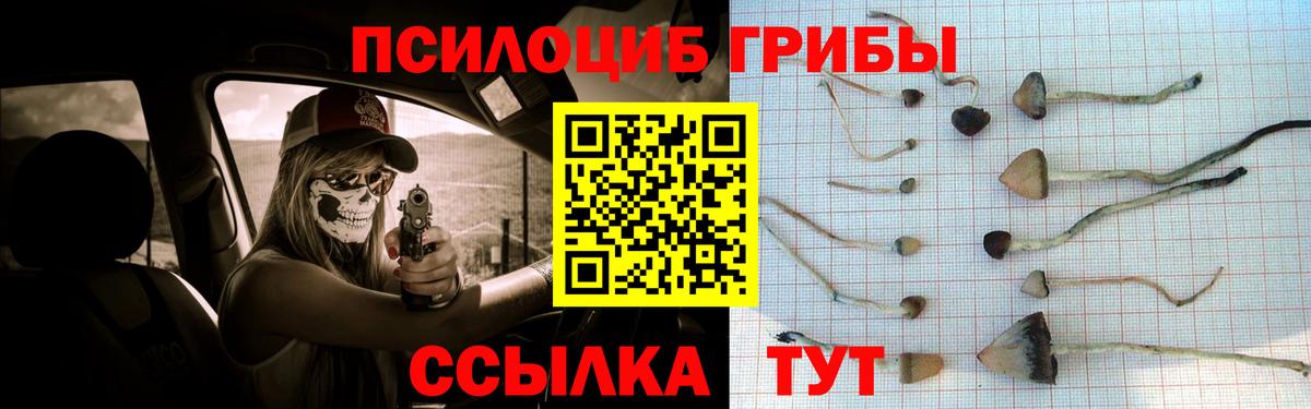 Галлюциногенные грибы Psilocybe  Вход с VPN  Клин  Галлюциногенные грибы Cubensis 
